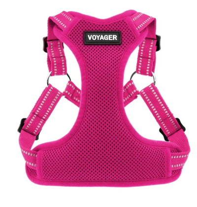Voyager Step-in/Flex Harness 3M *