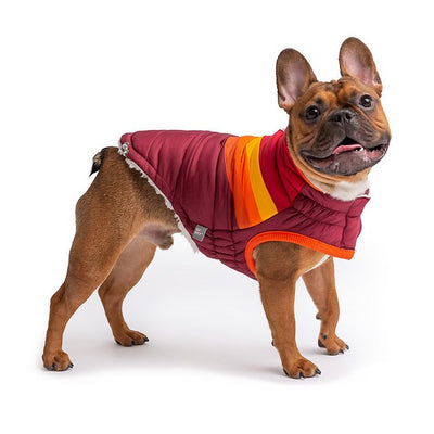 GF Pet Summit Puffer Jacket *