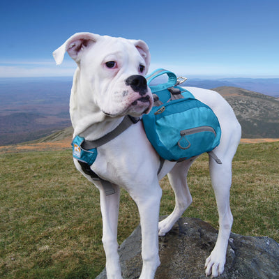 Kurgo Dog Baxter Backpack *