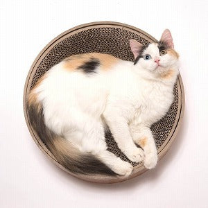 Necoichi Cozy Cat Scratcher Bowl Bed *