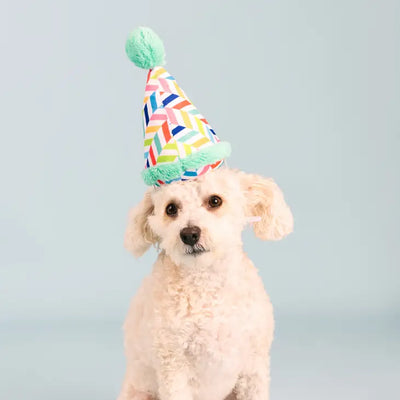 Fringe Plush Dog Toy - Cheers for a Barkday *