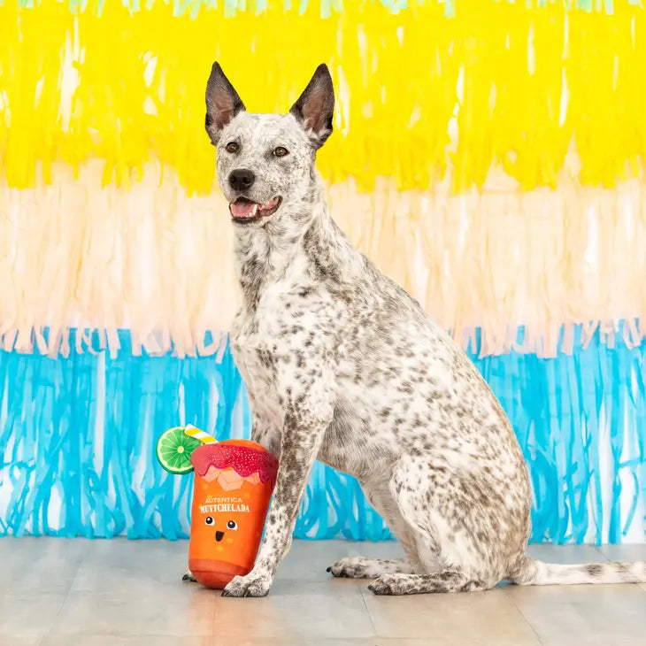 Fringe Plush Dog Toy - Muttchelada *