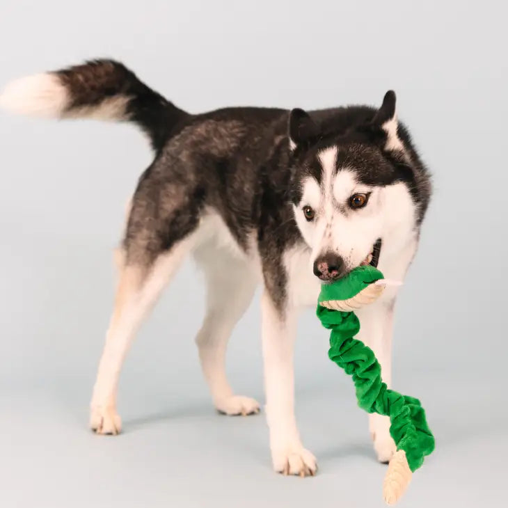 Fringe Plush Dog Toy - Hisses & Kisses *