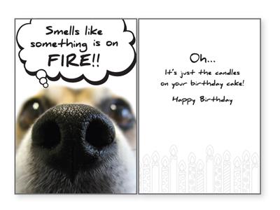 Dog Speak Greeting Cards *