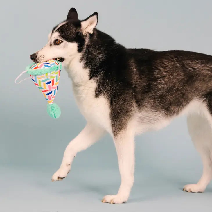 Fringe Plush Dog Toy - Cheers for a Barkday *