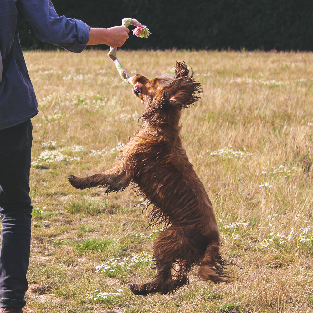 Beco Hemp Squeaky Rope *
