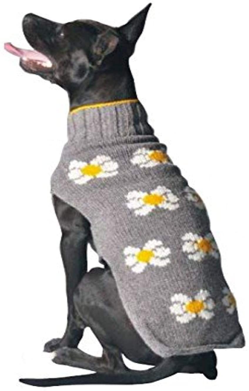 Chilly Dog Daisy Sweater *