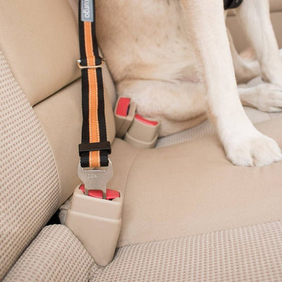 Kurgo Dog Direct Seatbelt Tether *