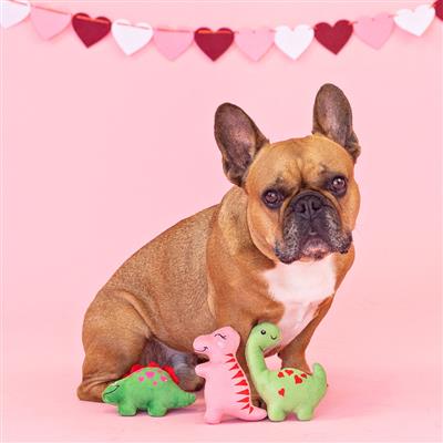 Fringe You are Dino-Mite Small Plush Set of 3 *