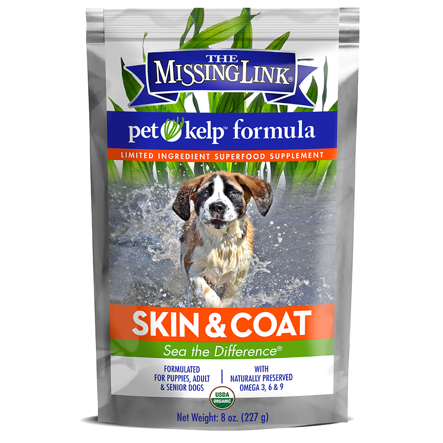 Missing Link Dog Pet Kelp Skin & Coat *