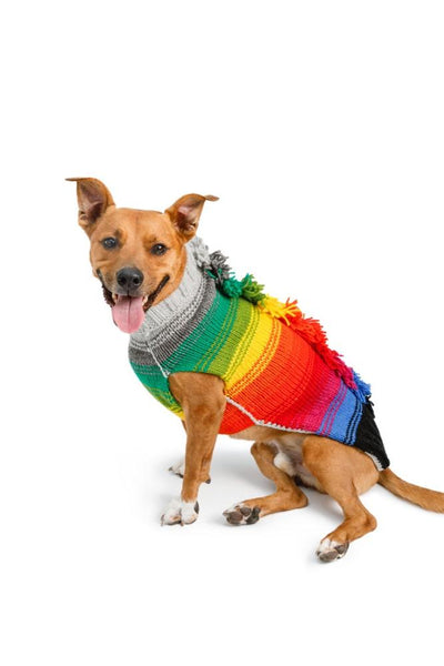 Chilly Dog Rainbow Mohawk Hoodie *