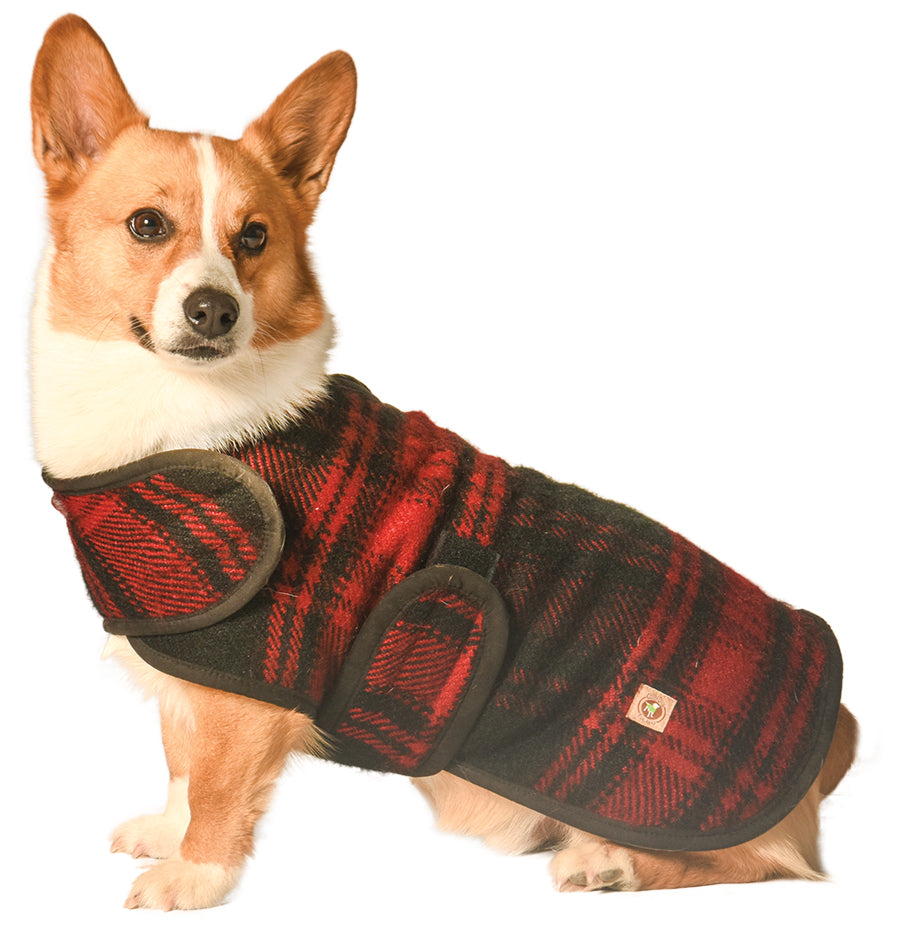 Chilly Dog Red Plaid Coat *