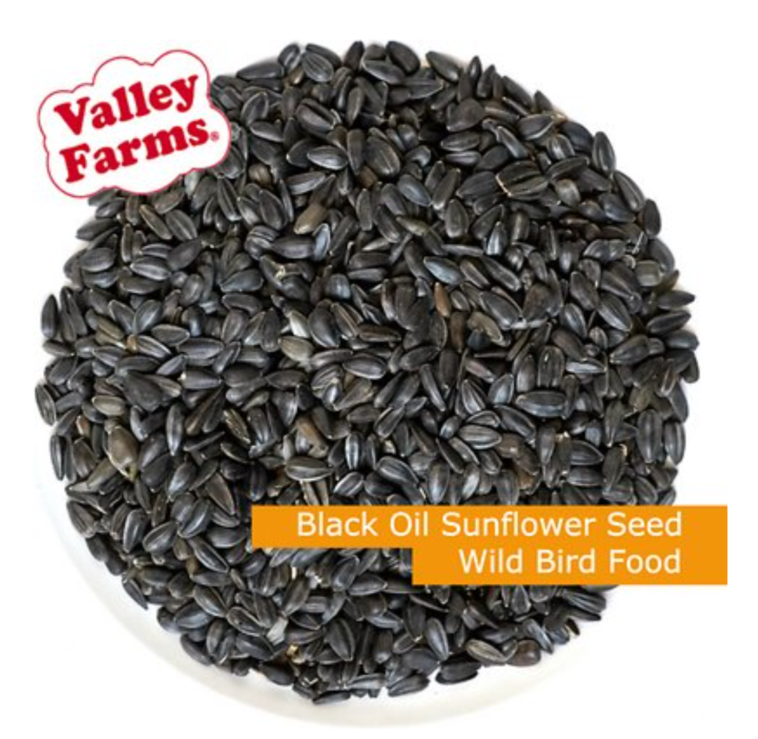Valley Farms Black Oil Sunflower Wild Bird Seed *