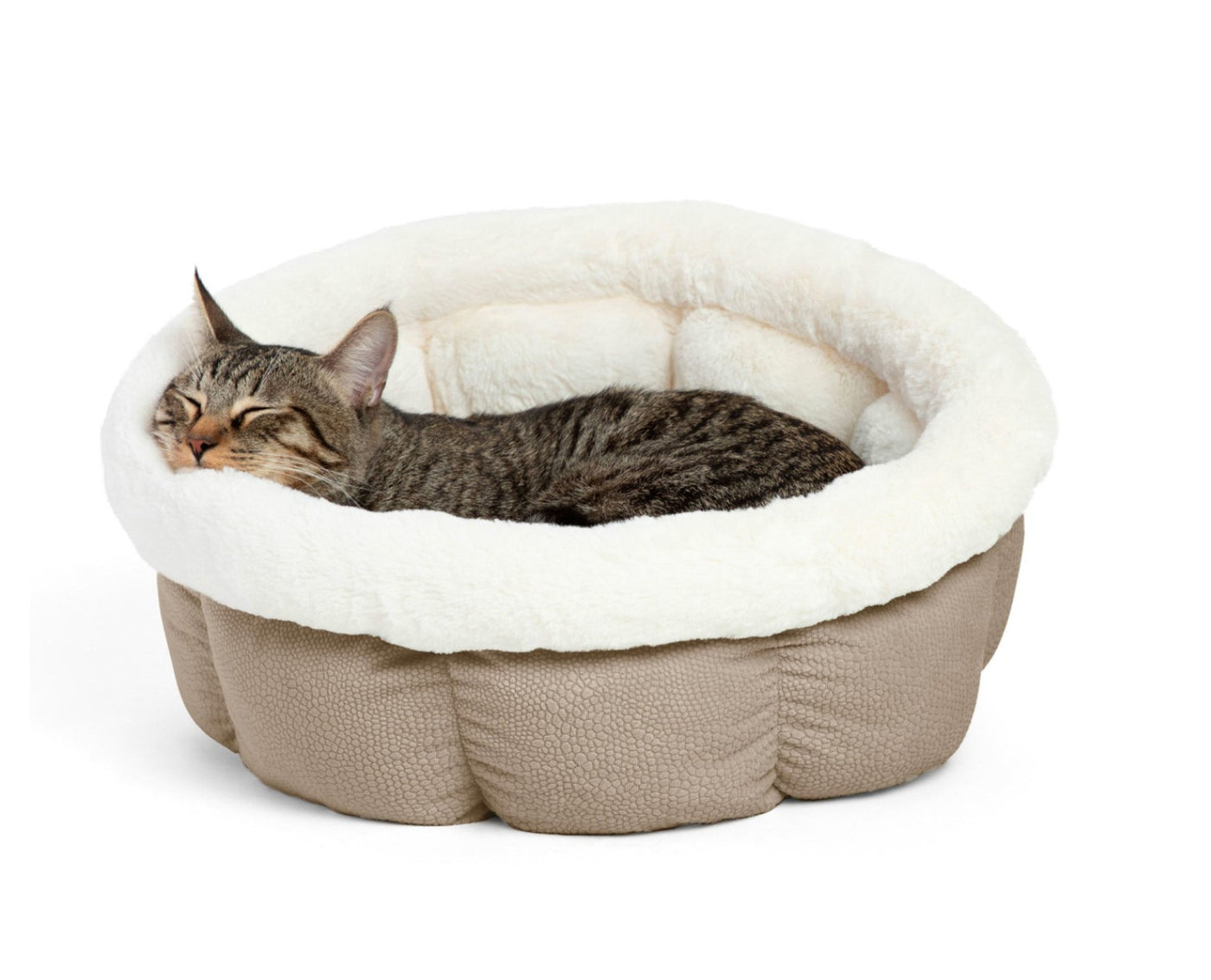 OH Cuddle Cup Pet Bed *