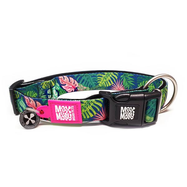 Max & Molly SmartID Collars *