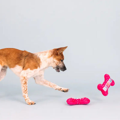Fringe Plush Dog Toy - It's My Barkday *