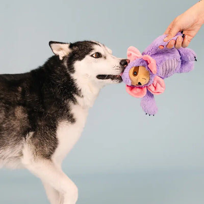 Fringe Plush Dog Toy - I'll Grow on You *