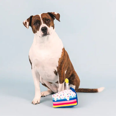 Fringe Plush Dog Toy - Cake it Easy *