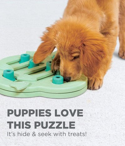 OH Nina Ottosson Puppy Hide N' Slide Interactive Treat Puzzle *