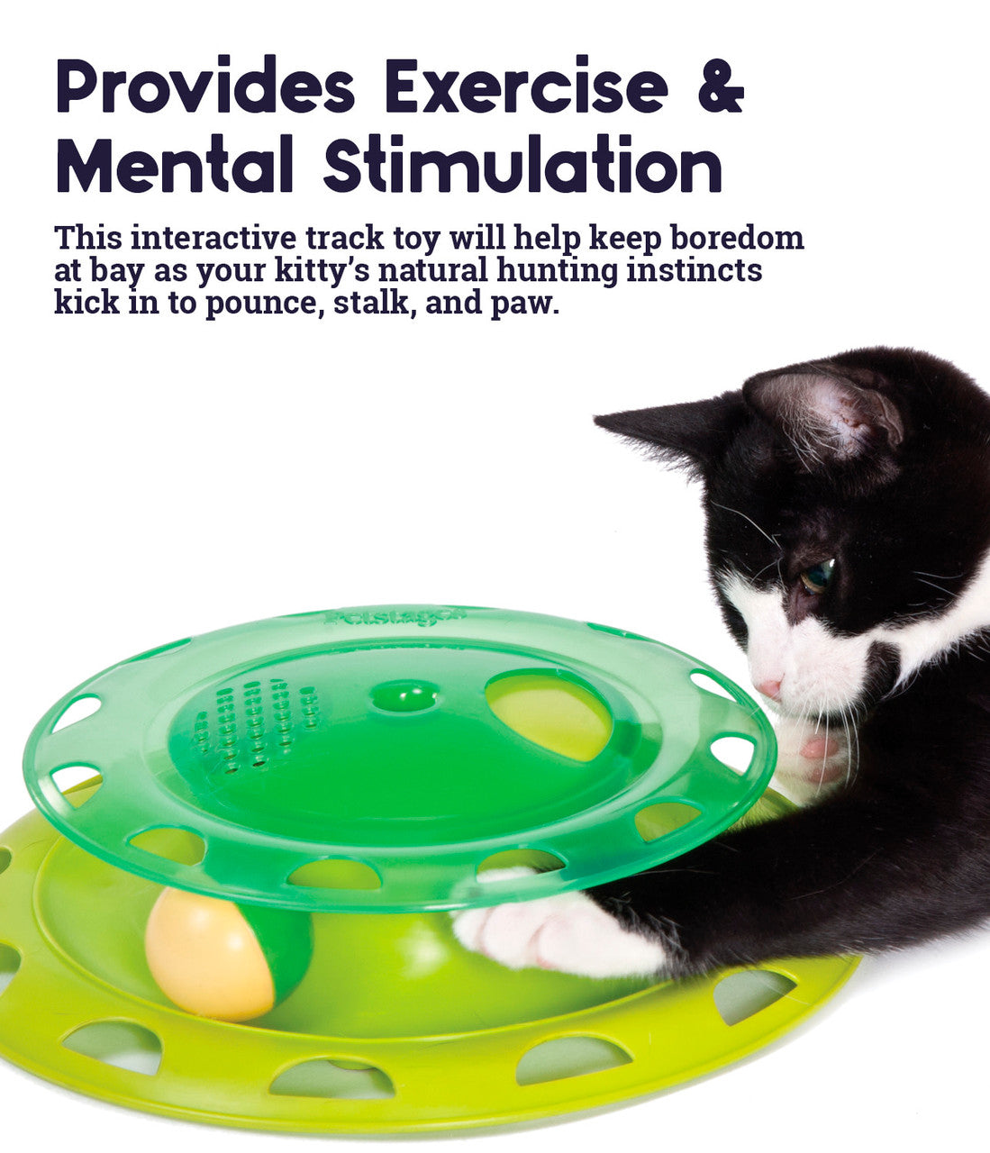 OH Catnip Chase Track Cat Toy *