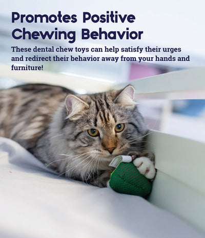 OH Lil' Avocato Dental Health Cat Toy *