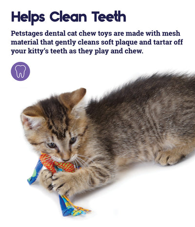 OH Catnip Dental Health Cat Chew Toy *