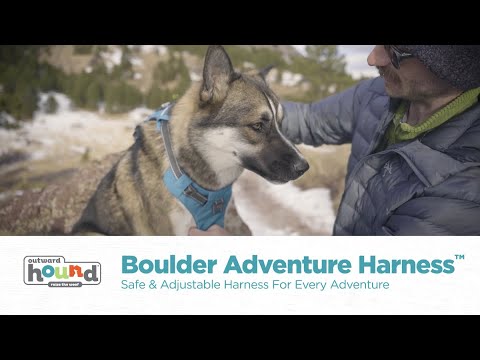 OH Boulder Adventure Dog Harness *