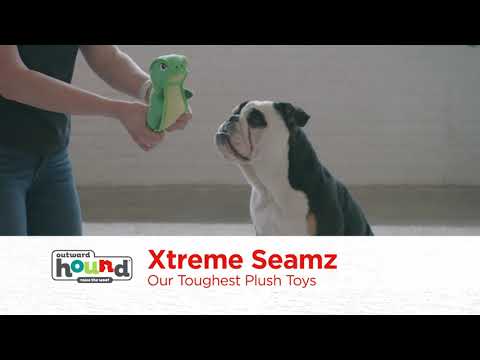 OH Xtreme Seamz Dog Toy - Raccoon *