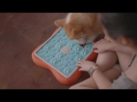 OH Nina Ottosson Challenge Slider Puzzle *