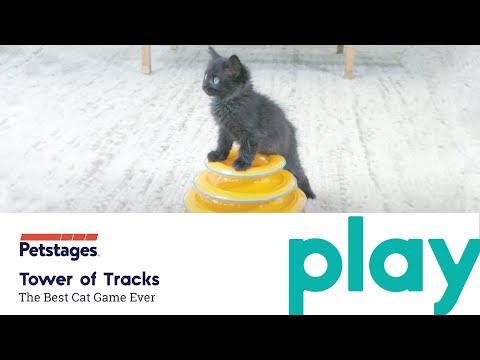 OH Tower of Tracks Cat Toy *