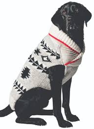 Chilly Dog Jackson Sweater *