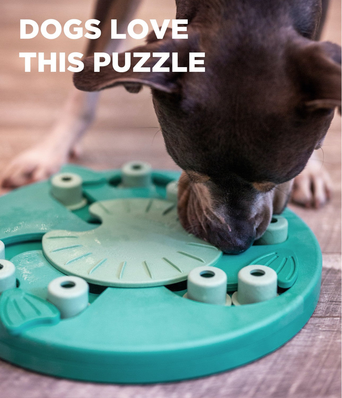 OH Nina Ottosson Dog Worker Puzzle *