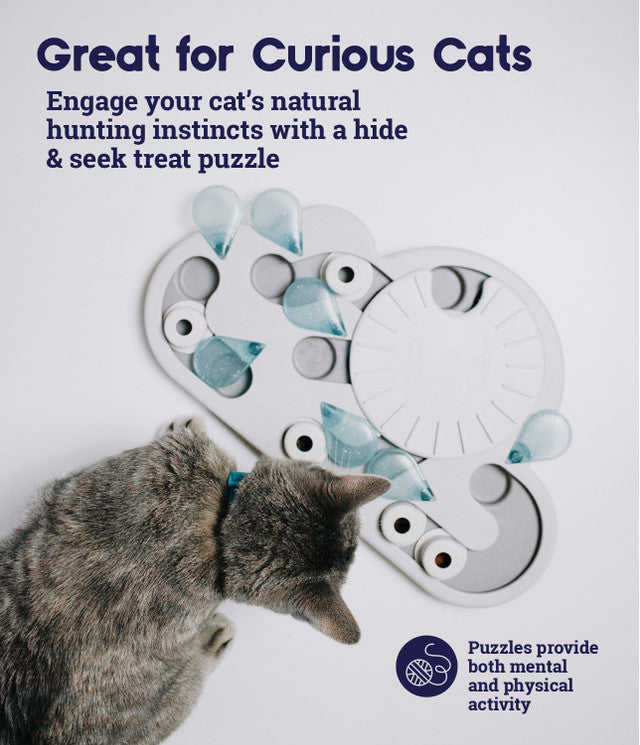 OH Rainy Day Puzzle & Play Cat Game *