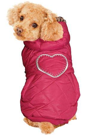 Fashion Pet Girly Puffer Coat *