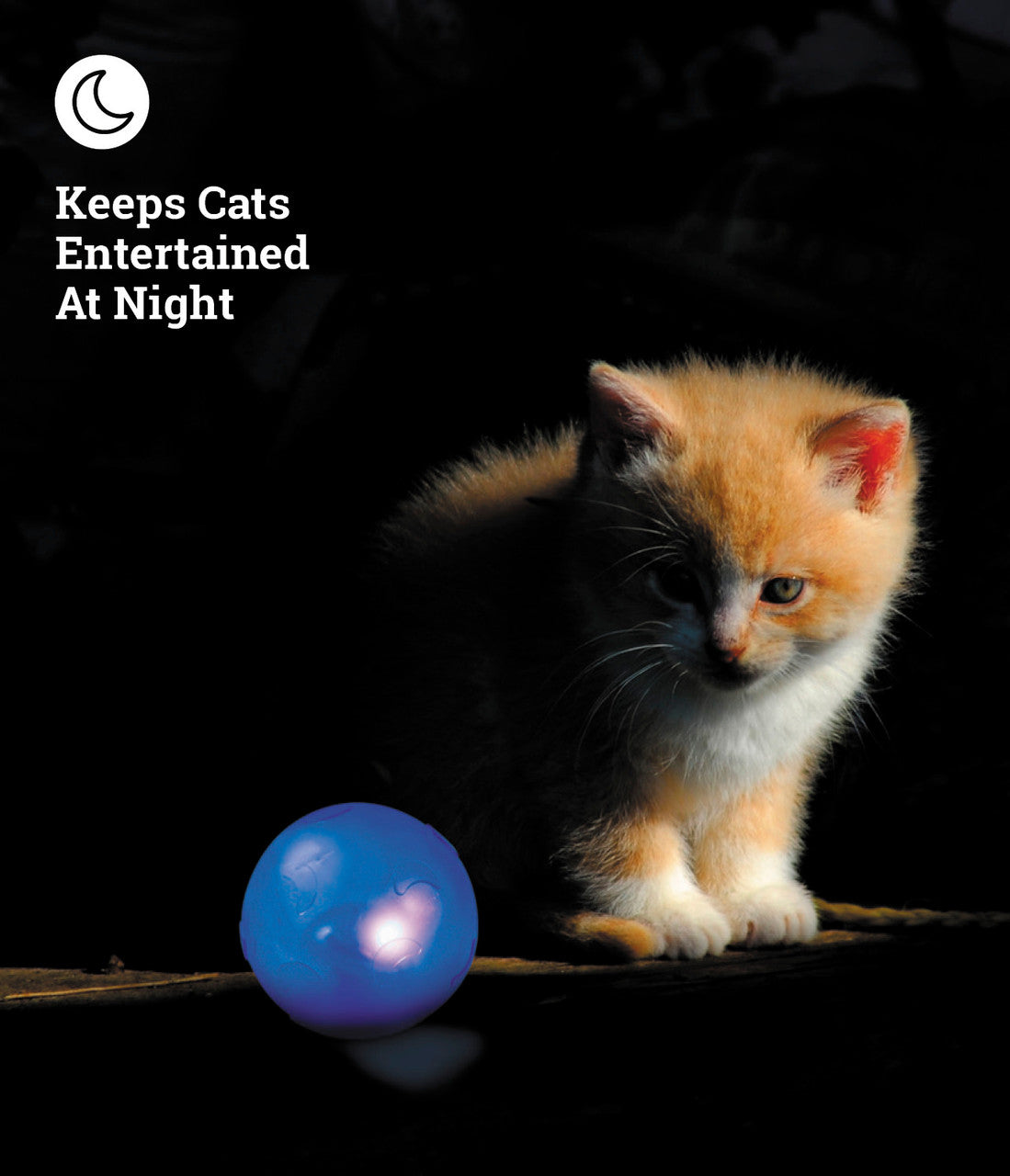 OH Nighttime Twinkle Ball Cat Toy *
