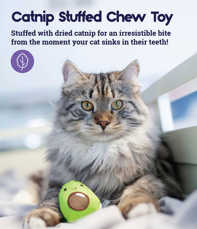 OH Lil' Avocato Dental Health Cat Toy *